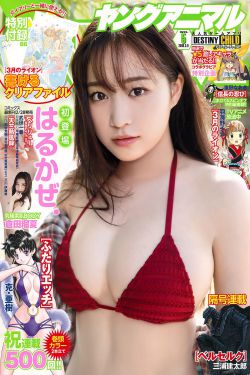 男男车车好快的车车DVD